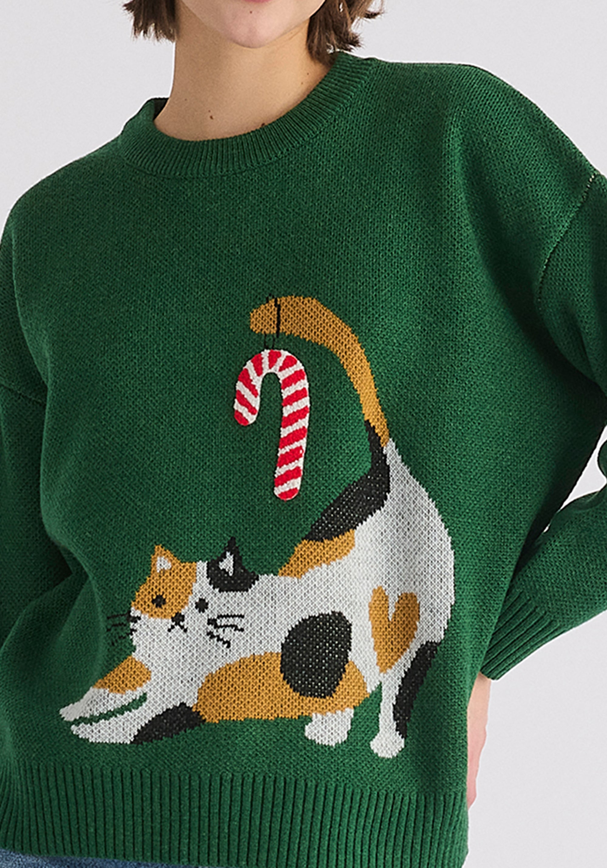 Christmas Jumper with Cat and Candy Cane in Green Close Up