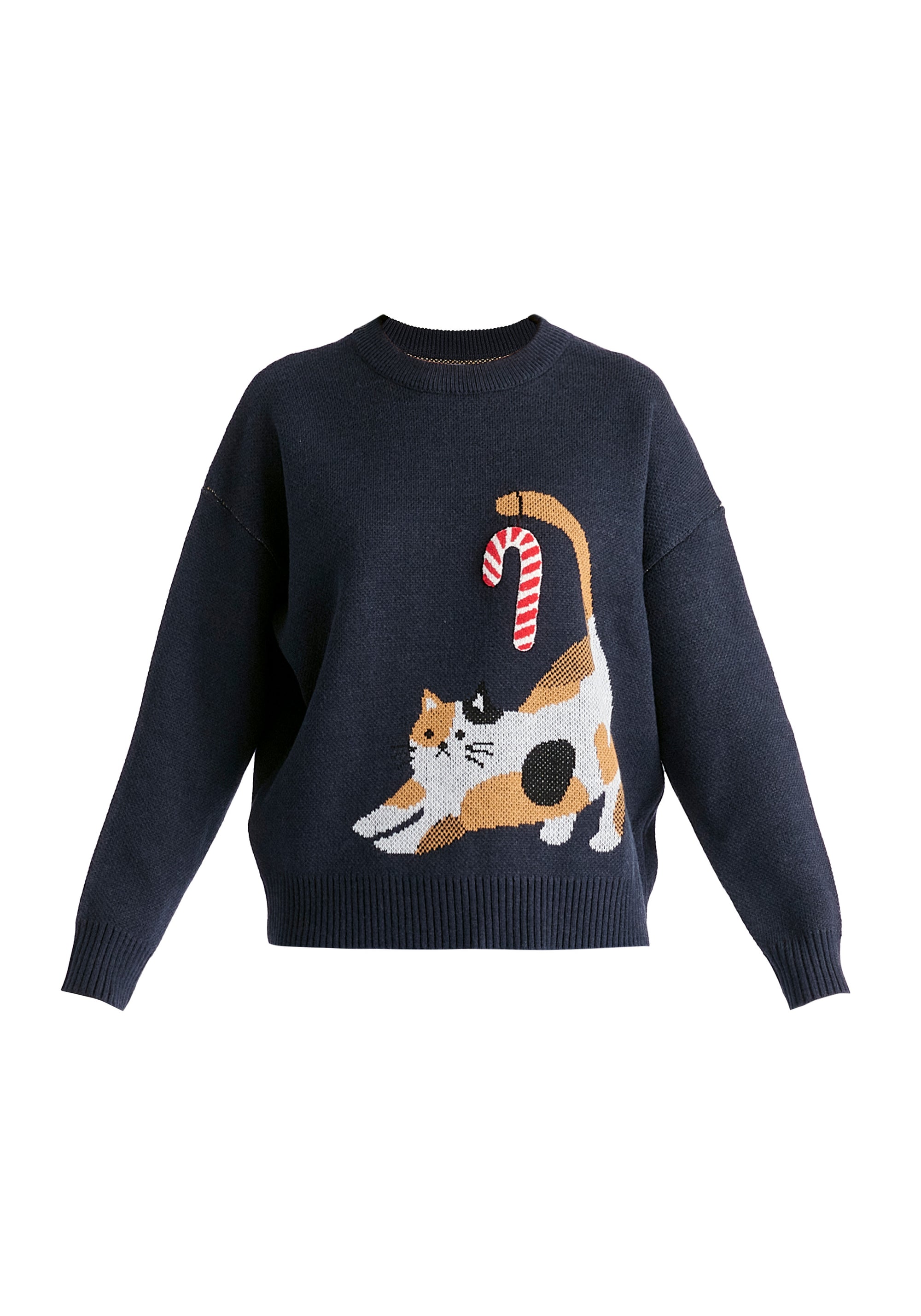 Christmas Jumper with Cat and Candy Cane in Navy