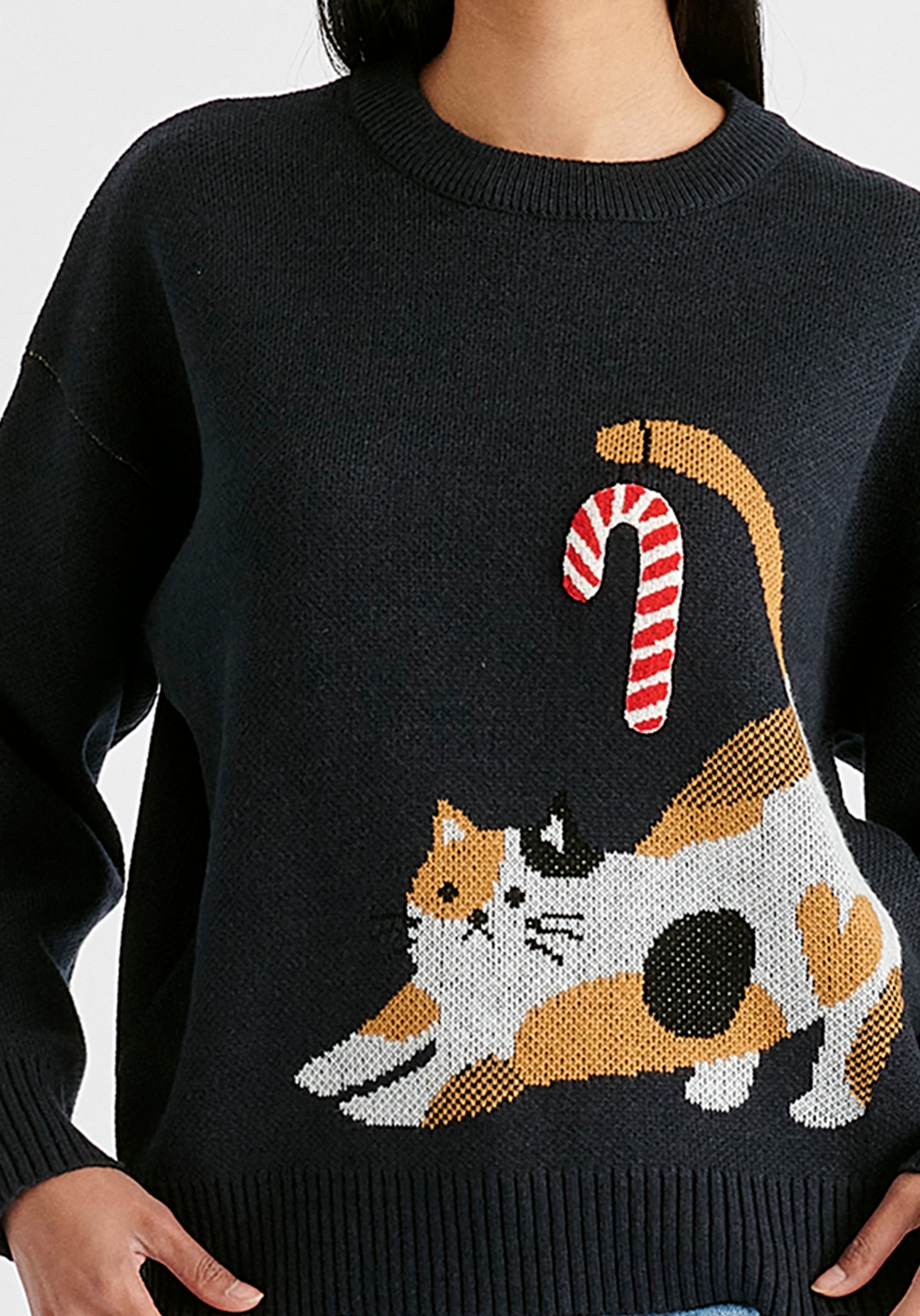 Christmas Jumper with Cat and Candy Cane in Navy Close Up