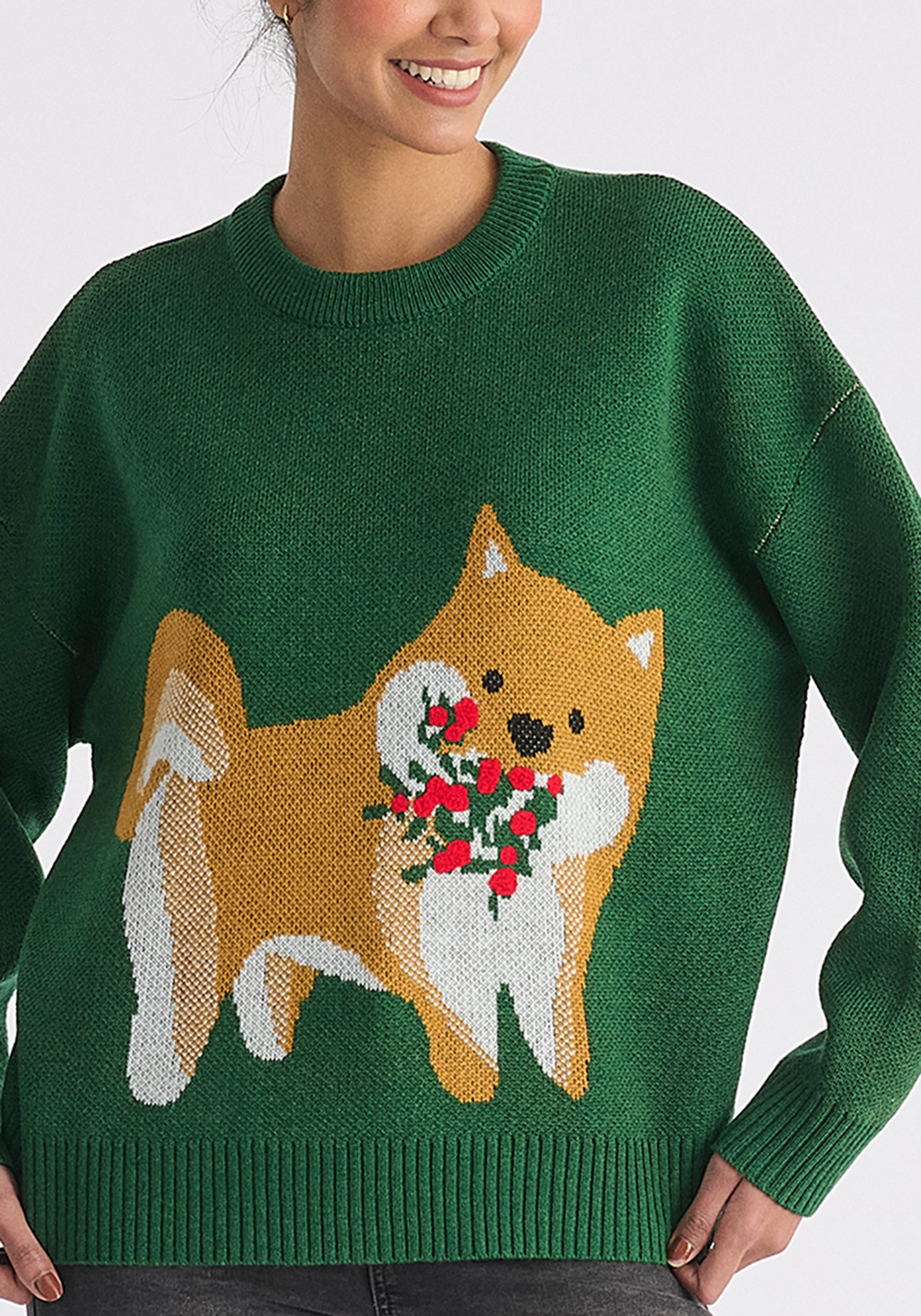 Christmas Jumper with Dog and Mistletoes in Green Close Up