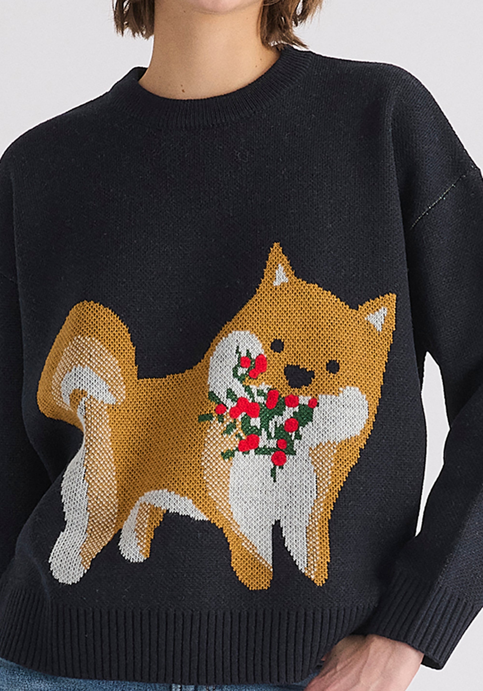 Christmas Jumper with Dog and Mistletoes in Navy Close Up