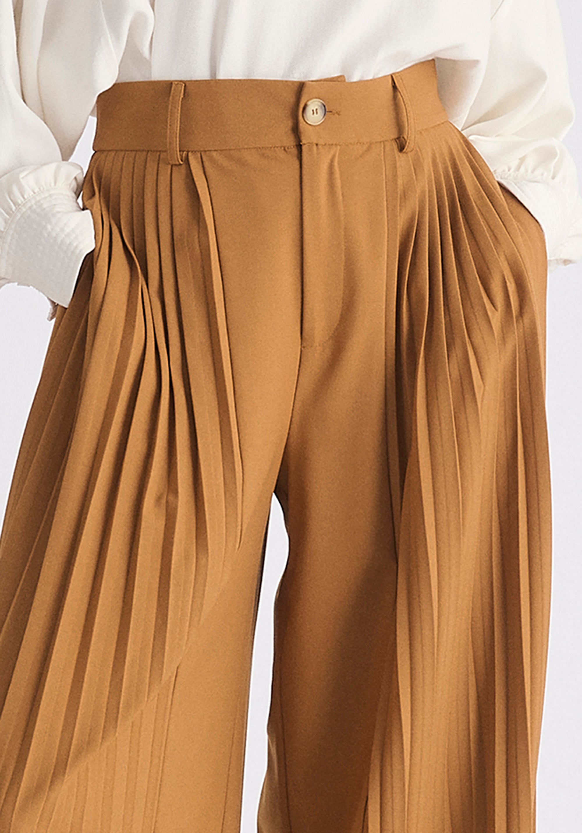 Pleated Wide Leg Trousers Close Up