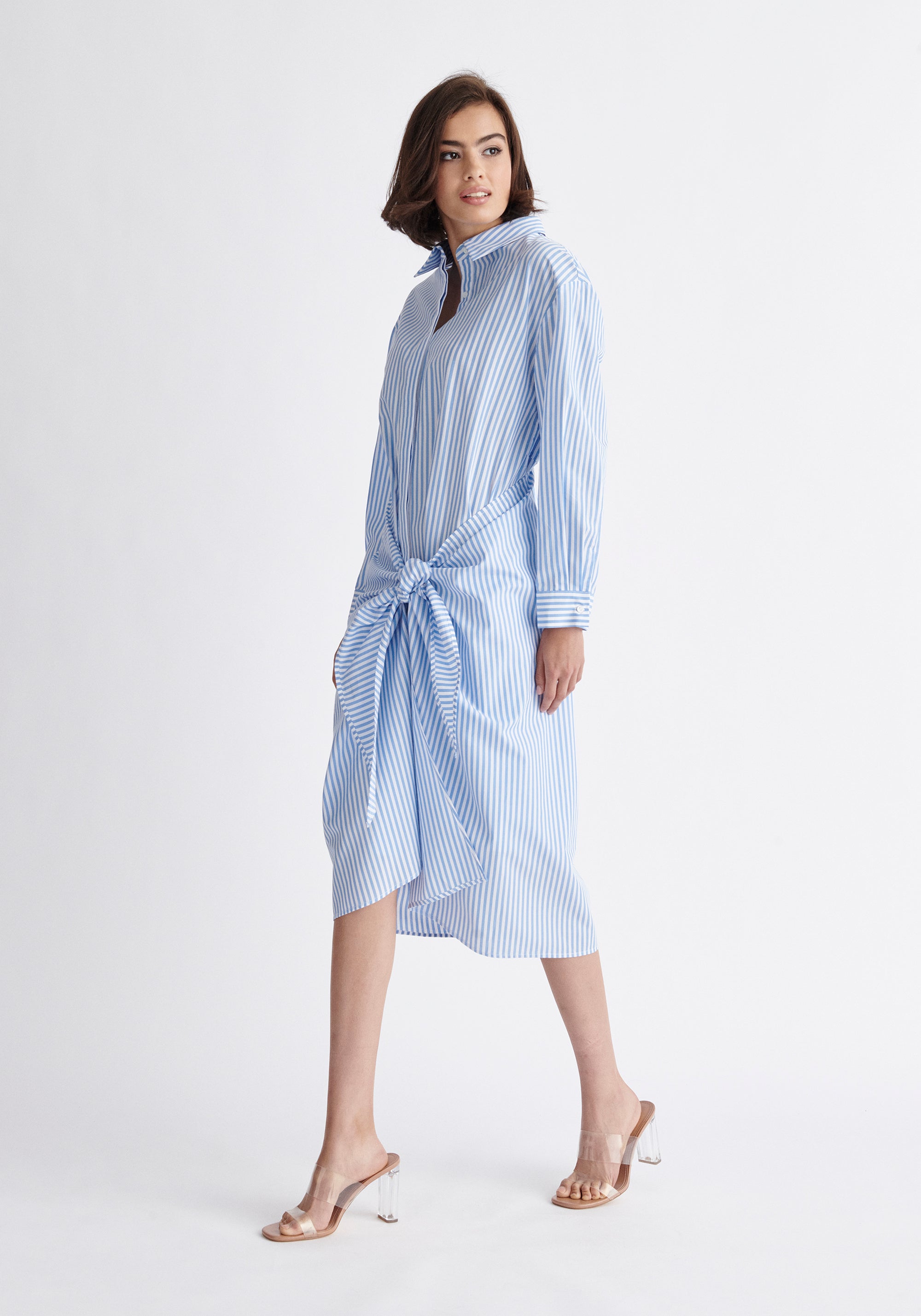 Paisie Striped Waist Tie Shirt Dress