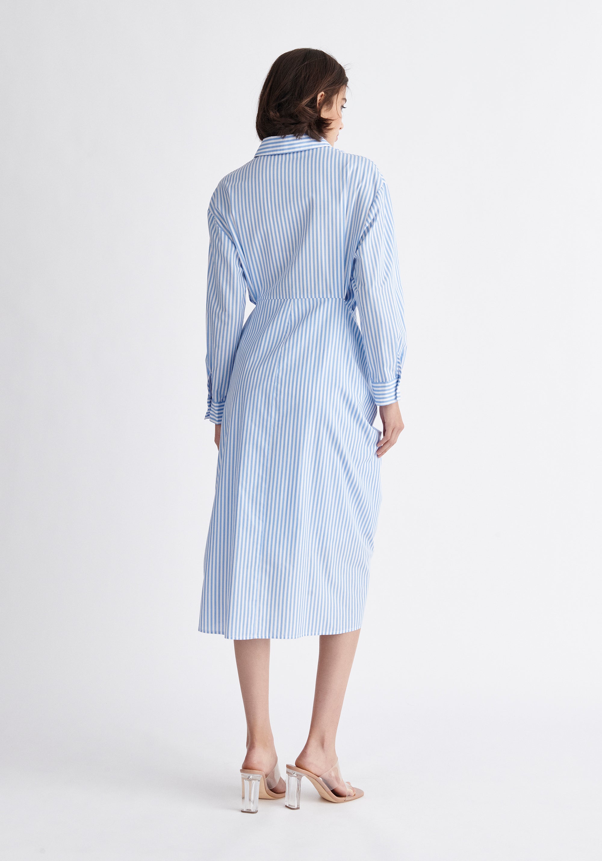 Paisie Striped Waist Tie Shirt Dress Back